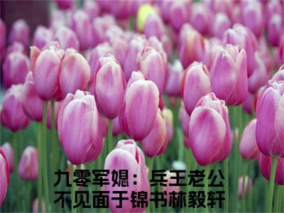 九零军媳：兵王老公不见面（于锦书林毅轩）精彩小说-小说于锦书林毅轩全文无删减版免费阅读