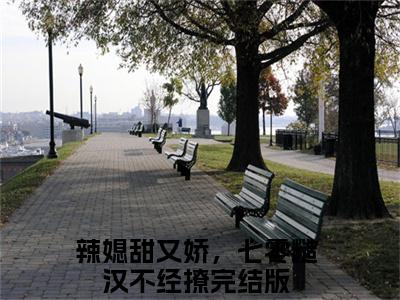 辣媳甜又娇，七零糙汉不经撩全网首发最新小说-乐鸣桃喜全文在线免费阅读