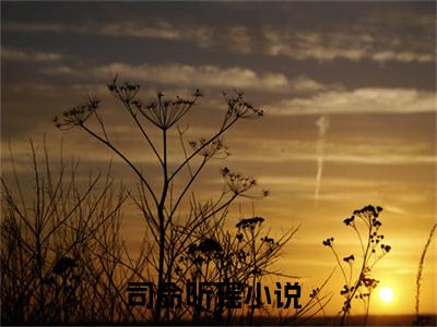 司命昕瑶（司命昕瑶）小说在线阅读-最新小说司命昕瑶全文阅读