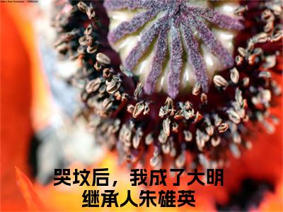 朱雄英小说免费下载阅读_（哭坟后，我成了大明继承人）朱雄英最新章节列表_笔趣阁（哭坟后，我成了大明继承人）