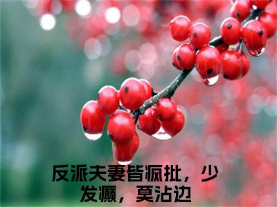 师如月诸葛青云全文免费大结局反派夫妻皆疯批，少发癫，莫沾边小说在线阅读