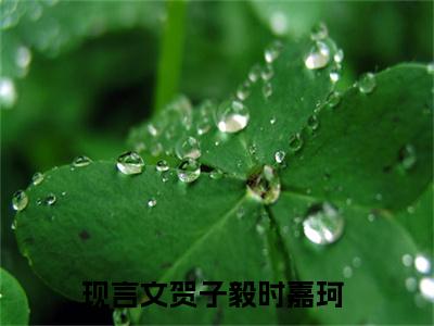 贺子毅时嘉珂小说（贺子毅时嘉珂）最新章节阅读-小说（贺子毅时嘉珂）已完结全集大结局