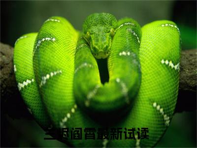 (热推新书)兰烬阎霄完整版免费小说无弹窗阅读_兰烬阎霄最新章节列表_笔趣阁（兰烬阎霄）