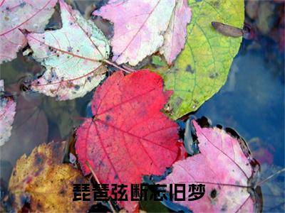 小说《琵琶弦断忘旧梦》全文免费阅读无弹窗-琵琶弦断忘旧梦（顾司遥宋裴祉）小说全文在线赏析_笔趣阁