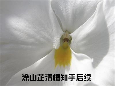 涂山芷清檀（涂山芷清檀）全文免费阅读无弹窗大结局_（涂山芷清檀全文）涂山芷清檀最新章节列表笔趣阁（涂山芷清檀）