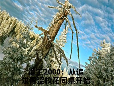 高赞热文重生2000：从追求青涩校花同桌开始陈凡完整版阅读-重生2000：从追求青涩校花同桌开始陈凡爆款免费小说阅读无弹窗