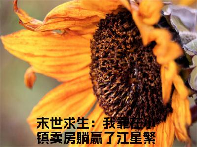 末世求生：我靠在小镇卖房躺赢了江星繁全文免费阅读无弹窗大结局_末世求生：我靠在小镇卖房躺赢了江星繁无弹窗全文阅读