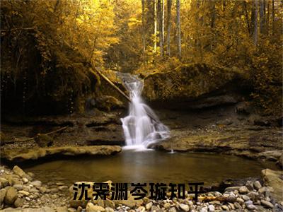 沈霁渊岑璇的小说（沈霁渊岑璇）免费阅读_沈霁渊岑璇小说免费阅读-笔趣阁