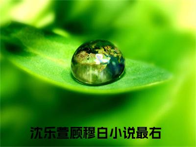 沈乐萱顾穆白小说全文-沈乐萱顾穆白最新章节免费阅读沈乐萱顾穆白小说