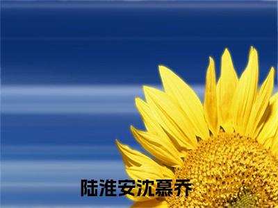 陆淮安沈慕乔小说全文阅读-陆淮安沈慕乔小说全文完整版免费阅读