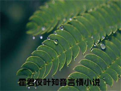 霍君夜叶知音小说全文免费阅读-（霍君夜叶知音）抖音新书热荐霍君夜叶知音全文免费阅读