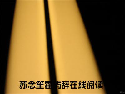 苏念笙霍屿辞阅读无弹窗大结局_（苏念笙霍屿辞阅读无弹窗）最新章节列表_笔趣阁（苏念笙霍屿辞）