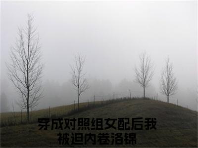 穿成对照组女配后我被迫内卷洛锦(穿成对照组女配后我被迫内卷洛锦)全文免费阅读无弹窗大结局_穿成对照组女配后我被迫内卷洛锦小说（穿成对照组女配后我被迫内卷洛锦）最新章节列表笔趣阁（穿成对照组女配后我被迫内卷洛锦）