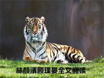 林颜清顾瑾晏（林颜清顾瑾晏）全文免费阅读无弹窗大结局_（林颜清顾瑾晏全文免费阅读无弹窗）林颜清顾瑾晏最新章节列表_笔趣阁（林颜清顾瑾晏）