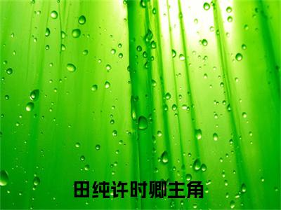 田纯许时卿最新章节（田纯许时卿）全文免费阅读无弹窗大结局_田纯许时卿小说全文免费阅读正版无弹窗_笔趣阁