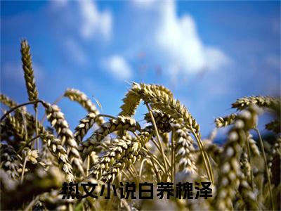 白荞槐泽热门小说 全文免费阅读无弹窗大结局-白荞槐泽全文无弹窗免费阅读大结局