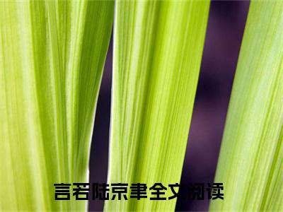 言若陆京聿（言若陆京聿）全文免费阅读无弹窗大结局_(言若陆京聿小说免费阅读)_笔趣阁