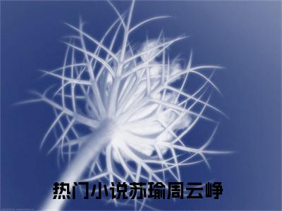 苏瑜周云峥全文免费阅读_（苏瑜周云峥免费阅读无弹窗）苏瑜周云峥最新章节列表笔趣阁