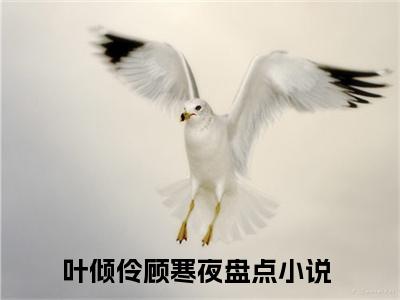 叶倾伶顾寒夜（叶倾伶顾寒夜）全文免费阅读无弹窗大结局_叶倾伶顾寒夜最新章节列表_