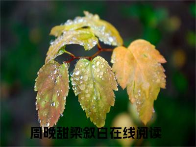 周晚甜梁叙白（周晚甜梁叙白）全文免费阅读-小说周晚甜梁叙白最新章节阅读笔趣阁