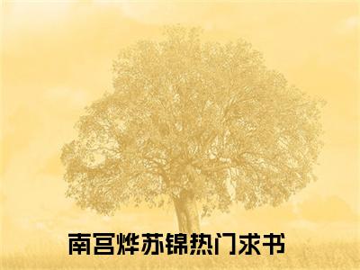 热点小说南宫烨苏锦，南宫烨苏锦免费章节阅读