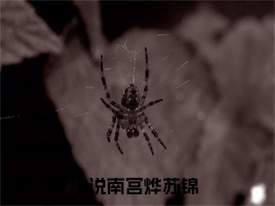 南宫烨苏锦全文小说（南宫烨苏锦）全文阅读-南宫烨苏锦在线小说免费阅读