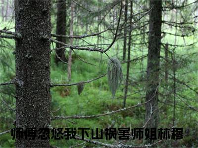 老书虫推荐师傅忽悠我下山祸害师姐林穆小说-师傅忽悠我下山祸害师姐林穆小说全章节阅读