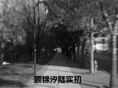 小说免费阅读-抖音新书热荐顾锦汐陆实初