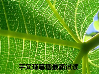 宇文瑾慕烟（宇文瑾慕烟）全文免费阅读无弹窗大结局_(宇文瑾慕烟)免费阅读无弹窗最新章节列表