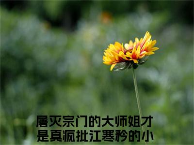 屠灭宗门的大师姐才是真疯批江寒矜（屠灭宗门的大师姐才是真疯批江寒矜）全文免费阅读无弹窗大结局_(屠灭宗门的大师姐才是真疯批江寒矜免费阅读)最新章节列表_笔趣阁