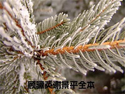 顾骊英谢景平小说全文-（顾骊英谢景平）精选小说大结局阅读