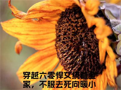 穿越六零悍女统管全家，不服去死向暖无广告小说免费阅读，穿越六零悍女统管全家，不服去死向暖完结小说在线阅读