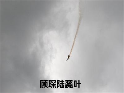 顾琛陆蕊叶全文免费阅读无弹窗（顾琛陆蕊叶）小说-顾琛陆蕊叶小说免费阅读