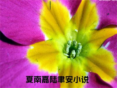 夏南嘉陆聿安（夏南嘉陆聿安）全文免费阅读无弹窗大结局_夏南嘉陆聿安最新章节列表阅读_笔趣阁