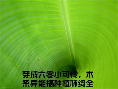 穿成六零小可怜，木系异能搞种植林绮小说全文免费阅读（穿成六零小可怜，木系异能搞种植林绮）全文免费阅读无弹窗大结局_（穿成六零小可怜，木系异能搞种植林绮）穿成六零小可怜，木系异能搞种植林绮结局最新章节列表_笔趣阁（穿成六零小可怜，木系异能搞种植林绮）