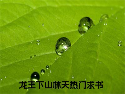 龙王下山林天小说全文免费在线阅读-龙王下山林天全文试读最新章节列表