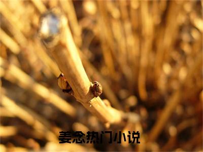 姜念全文免费阅读_（渡春宵免费阅读无弹窗）姜念高赞小说阅读