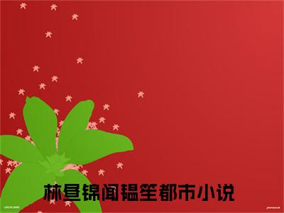 隐婚暗诱，闻先生日日心动（林昼锦闻韫笙）小说最新章节在线阅读-隐婚暗诱，闻先生日日心动（林昼锦闻韫笙）已完结全集大结局