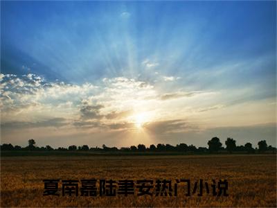 夏南嘉陆聿安最新章节（夏南嘉陆聿安全文+后续）全文免费阅读无弹窗大结局_夏南嘉陆聿安全文+后续免费阅读（夏南嘉陆聿安）