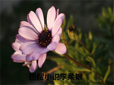 重生后，她携空间带崽起飞（李柔娘）小说全文无删减-重生后，她携空间带崽起飞小说免费阅读大结局