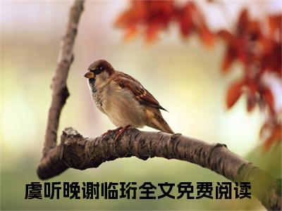 虞听晚谢临珩（虞听晚谢临珩）全文免费阅读无弹窗大结局_虞听晚谢临珩全文免费阅读（虞听晚谢临珩）最新章节列表_笔趣阁（虞听晚谢临珩）