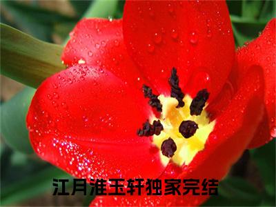 江月淮玉轩(江月淮玉轩）小说全文免费阅读无弹窗大结局_（江月淮玉轩）江月淮玉轩小说全文免费阅读最新章节列表笔趣阁（江月淮玉轩）