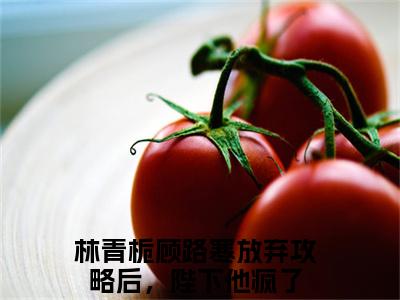 放弃攻略后，陛下他疯了全文免费阅读无弹窗大结局_放弃攻略后，陛下他疯了全文阅读_笔趣阁（林青栀顾路寒）