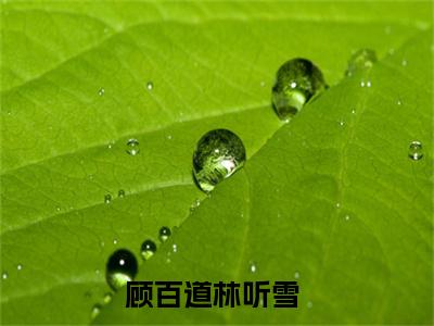 全网热搜（顾百道林听雪）是什么小说_主角是（顾百道林听雪）的小说（顾百道林听雪）最新章节无弹窗阅读