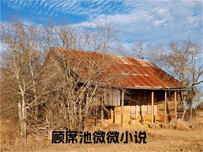 顾席池微微（顾席池微微）全文免费在线阅读_顾席池微微全文免费阅读无弹窗大结局