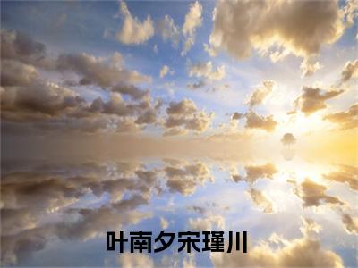 （免费）+（番外）主角是叶南夕宋瑾川的小说-叶南夕宋瑾川全文无弹窗免费阅读