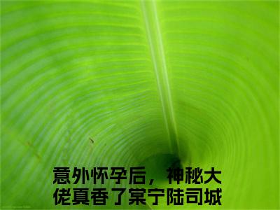 意外怀孕后，神秘大佬真香了（棠宁陆司城）完整版小说阅读-意外怀孕后，神秘大佬真香了小说（棠宁陆司城）精彩免费试读