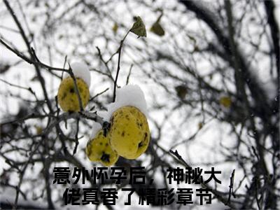 棠宁陆司城（意外怀孕后，神秘大佬真香了）小说全文免费_棠宁陆司城（意外怀孕后，神秘大佬真香了）最新章节目录笔趣阁