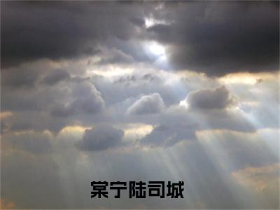 主角是意外怀孕后，神秘大佬真香了的小说叫什么名字棠宁陆司城精彩结局阅读