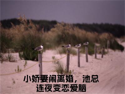 小说宋时染池墨尘（小娇妻闹离婚，池总连夜变恋爱脑）全文免费阅读-最火热门小说宋时染池墨尘最新章节更新